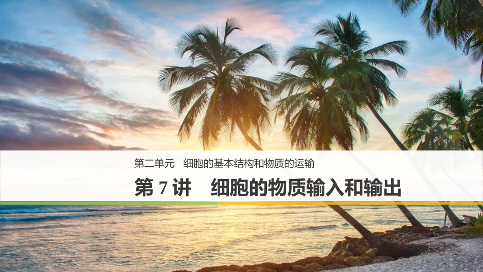 细胞的物质输入和输出.pptx_第1页