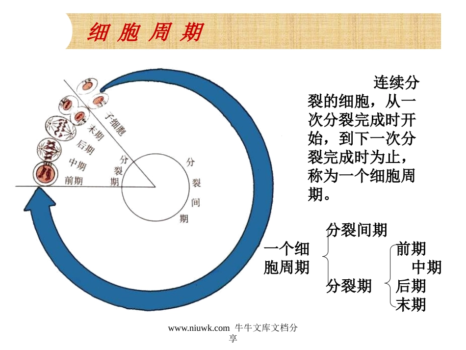 细胞的增殖癌变和衰老.pptx_第1页