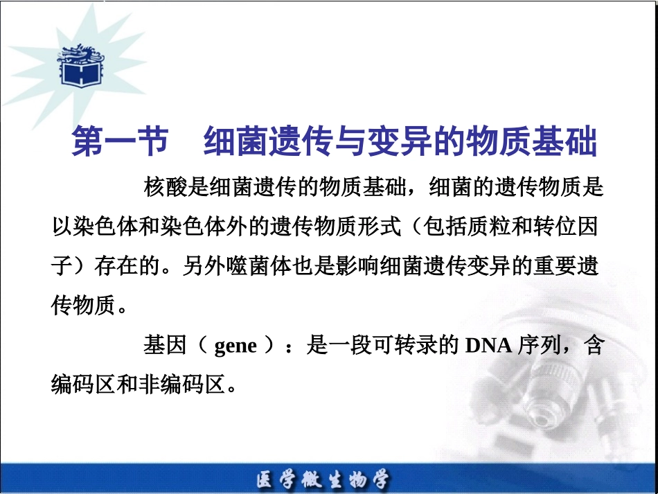 细菌的遗传和变异.ppt_第3页