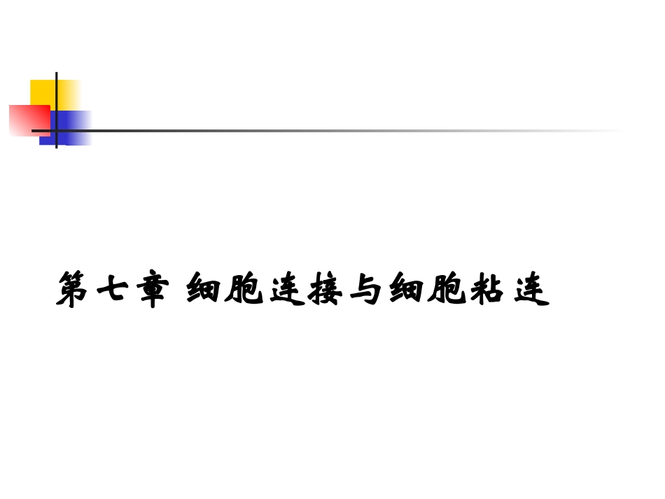 细胞连接与细胞粘连.ppt_第1页