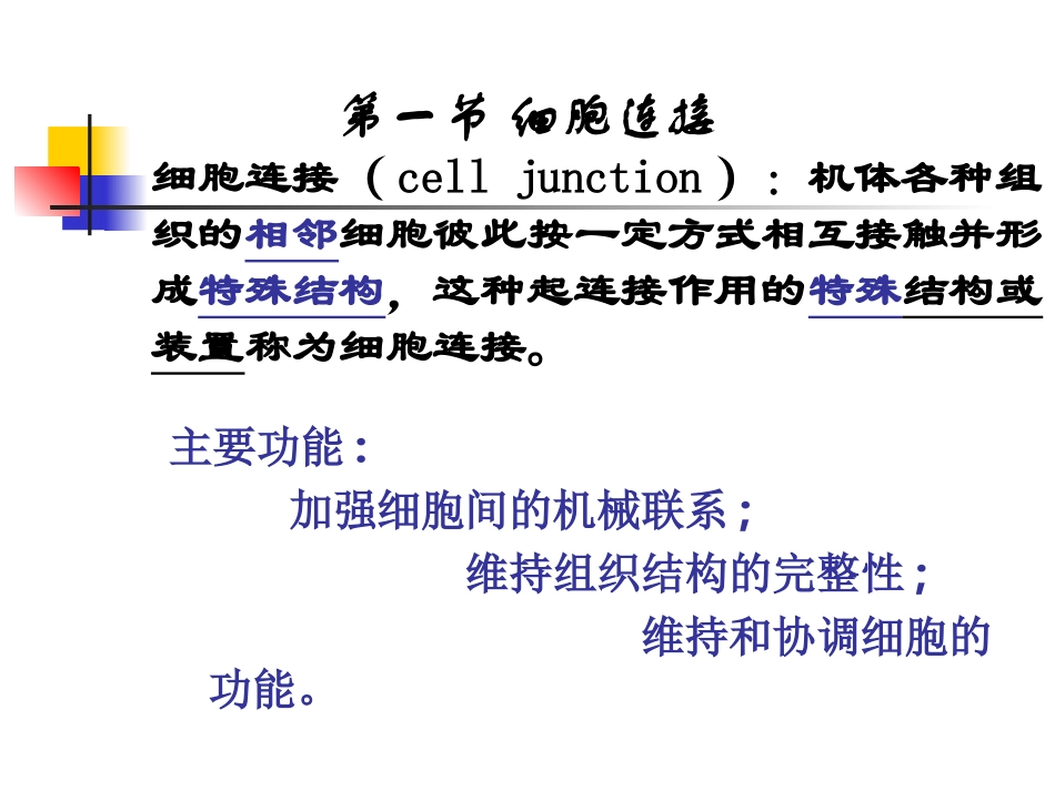 细胞连接与细胞粘连.ppt_第2页