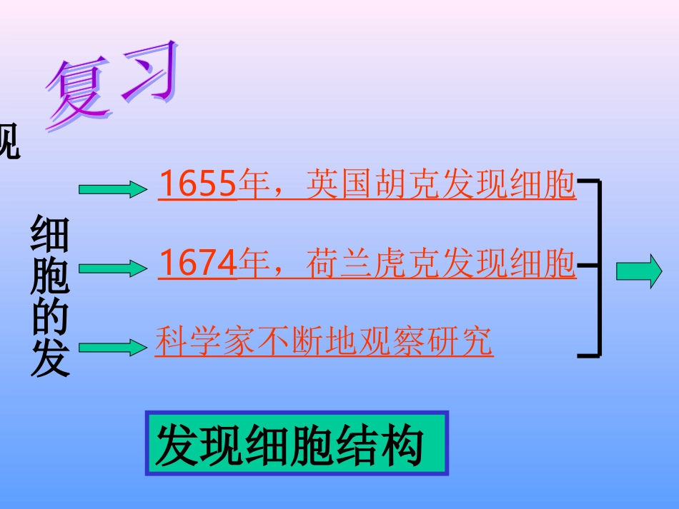 细胞的结构.ppt_第2页