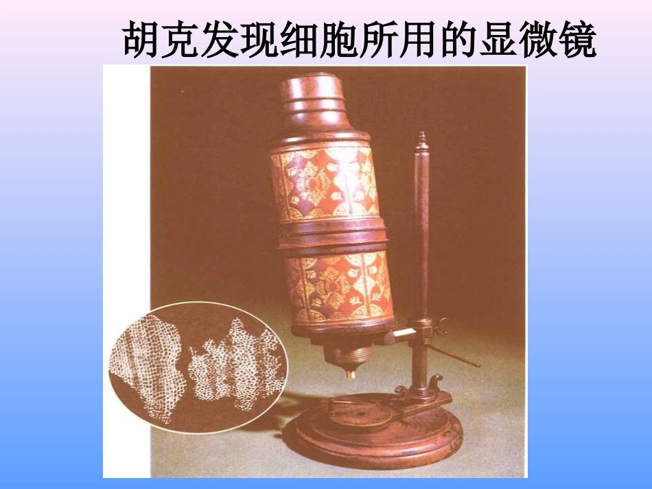 细胞的结构.ppt_第3页