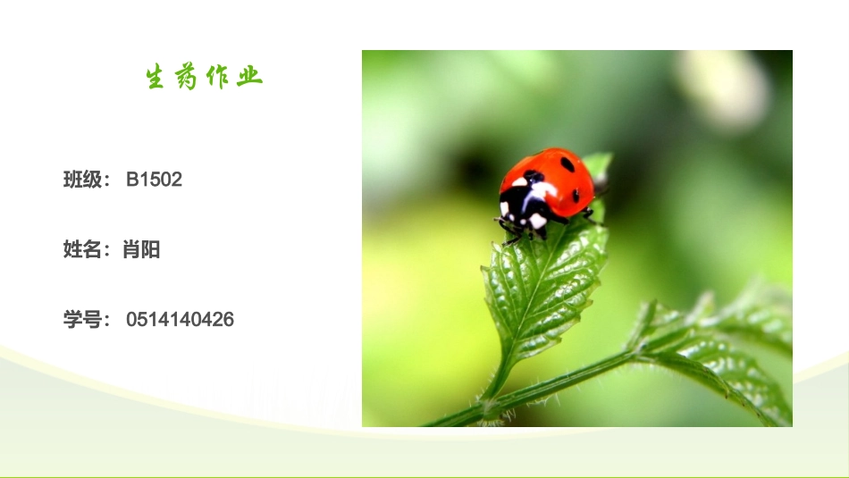 肖阳-0514140426蒙药.pptx_第1页