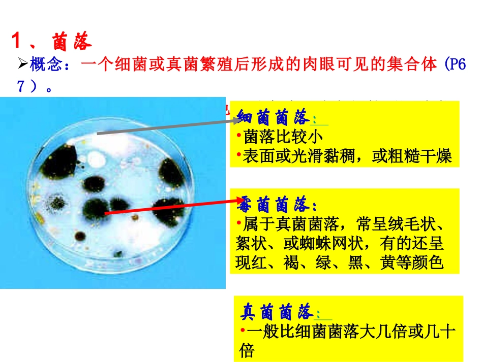 细菌和真菌的分布1.ppt_第3页