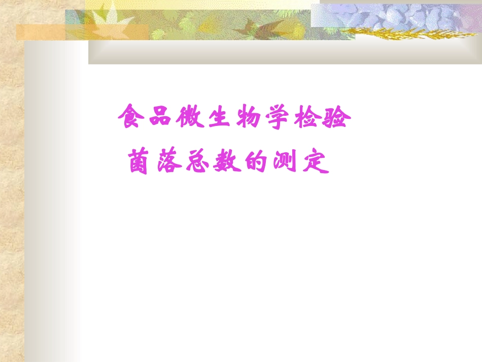 细菌菌落总数的测定.ppt_第1页