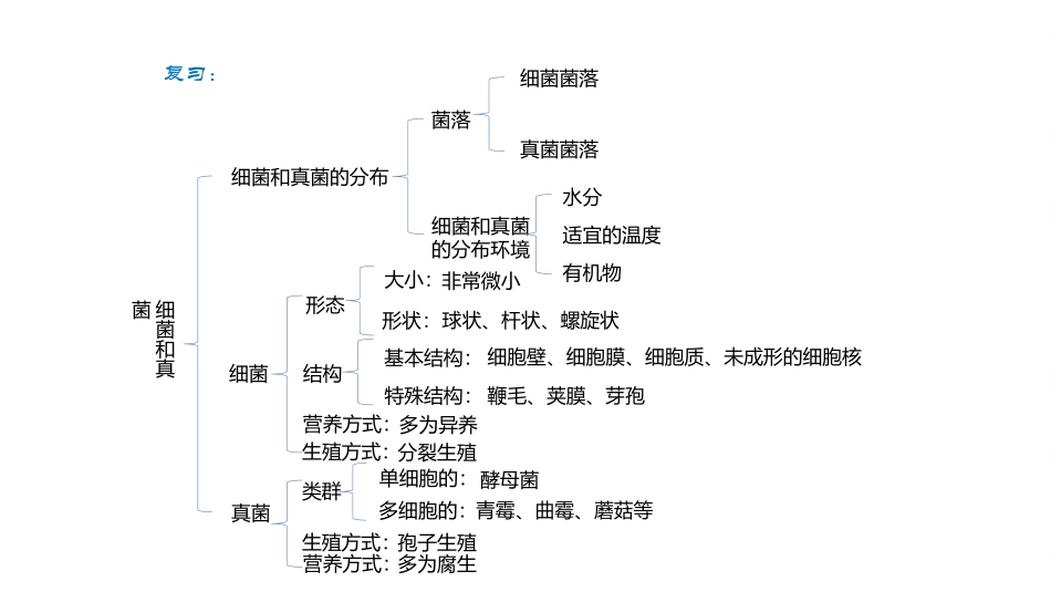 细菌和真菌在自然界中的作用演示文件.pptx_第1页