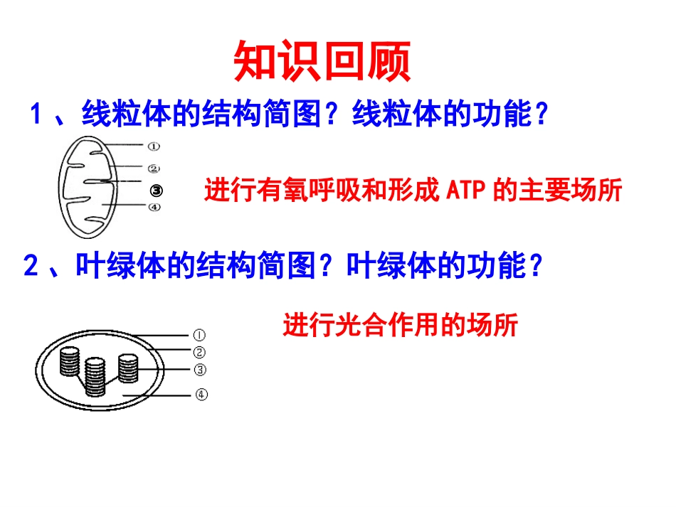 细胞质和细胞器2.ppt_第2页