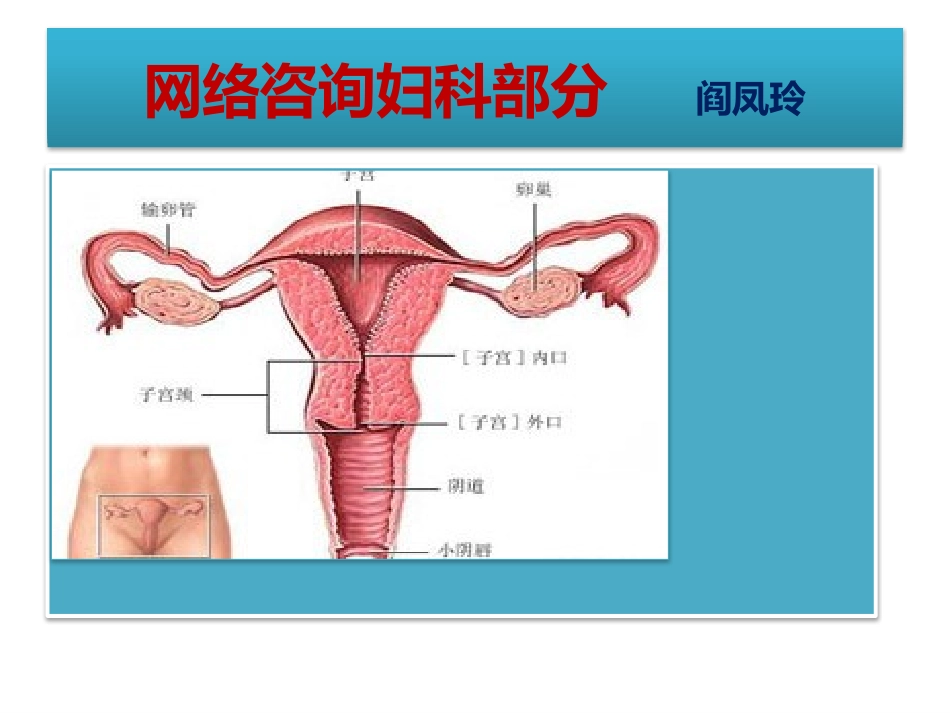 网络咨询妇科部分.pptx_第2页
