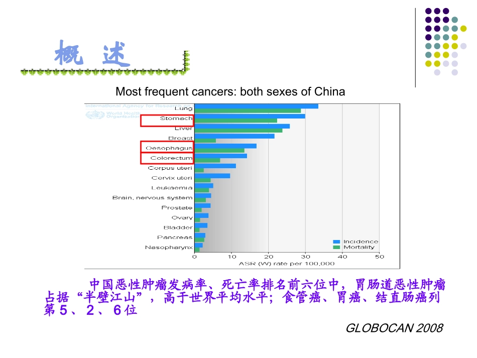 胃早癌的简述.ppt_第2页