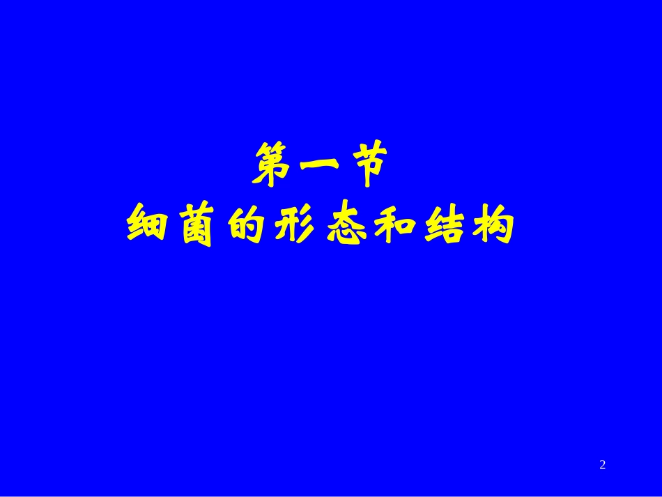 细菌的形态和结构.ppt_第2页
