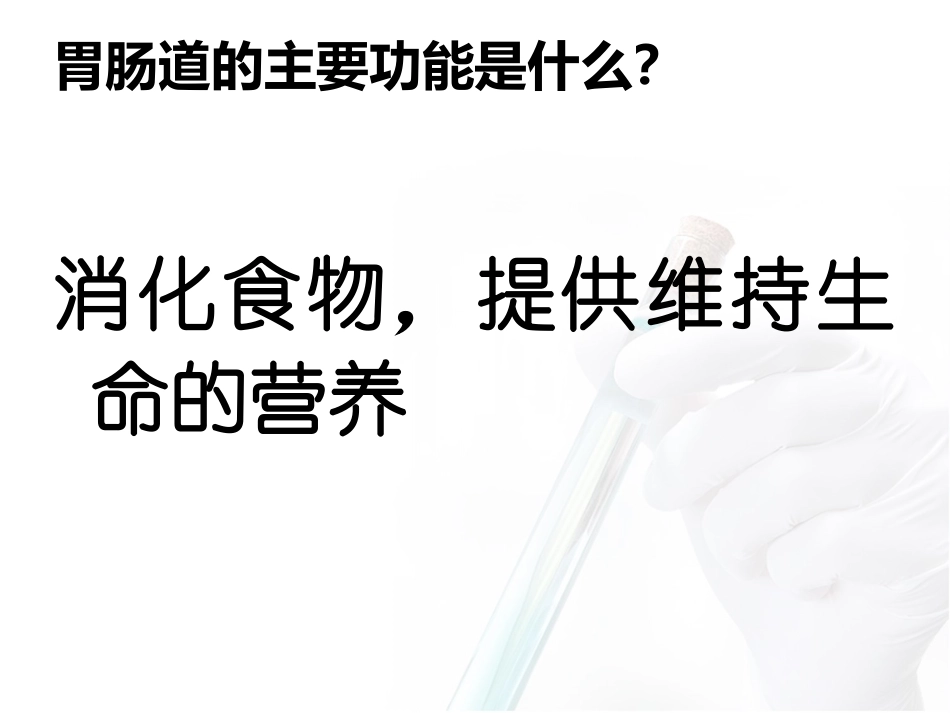 胃动力药和止吐药.ppt_第2页