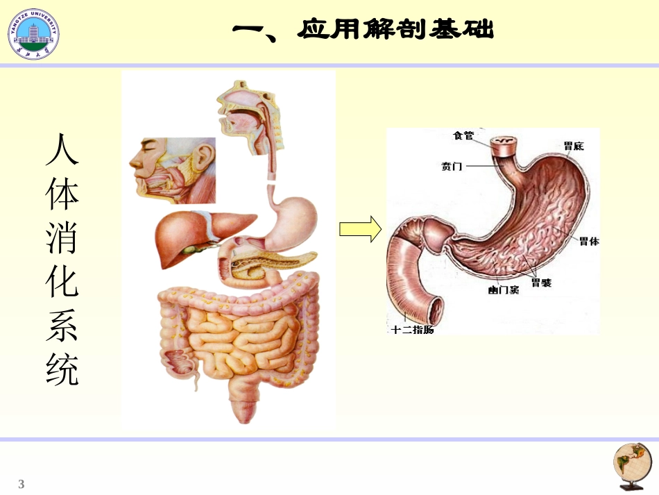 胃十二指肠影像学.ppt_第3页