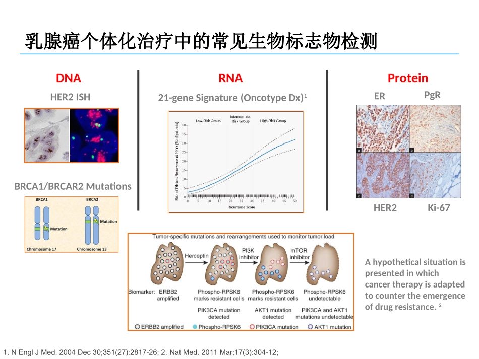 胃癌免疫组化标记物介绍.ppt_第3页