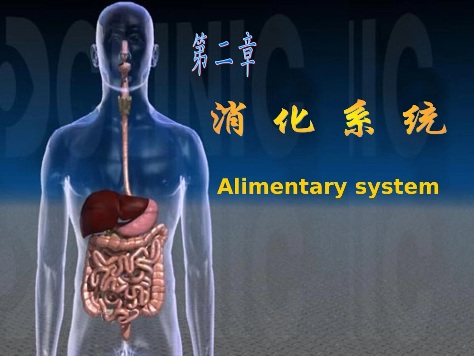 胃的形态结构.ppt_第1页