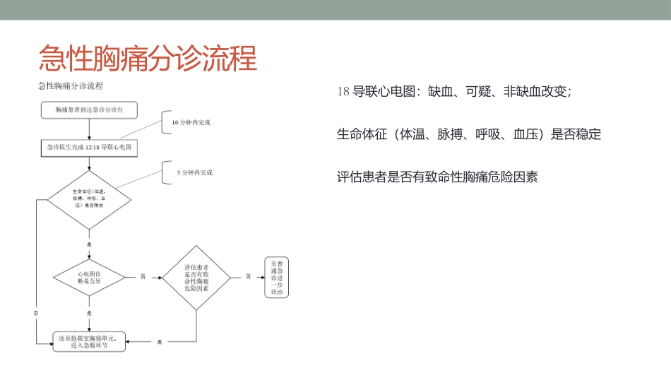 胸痛中心的救治流程图.pptx_第3页