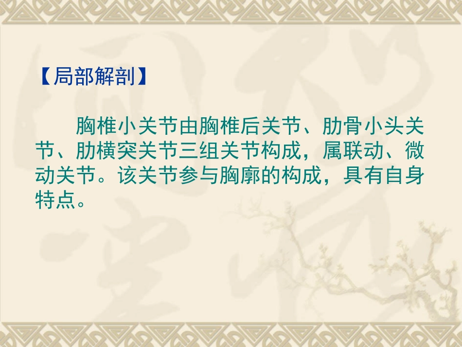 胸椎小关节紊乱.ppt_第2页