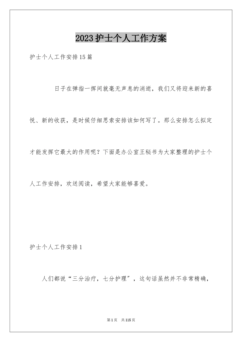 2023护士个人工作计划35范文.docx_第1页