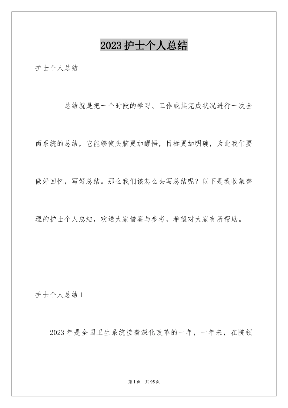 2023护士个人总结2范文.docx_第1页