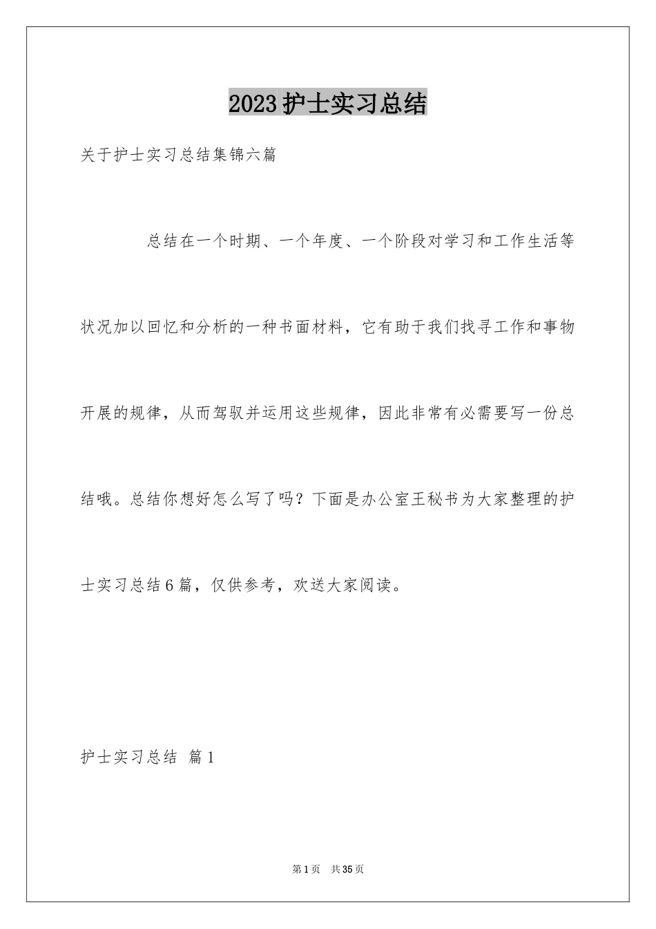 2023护士实习总结31范文.docx_第1页