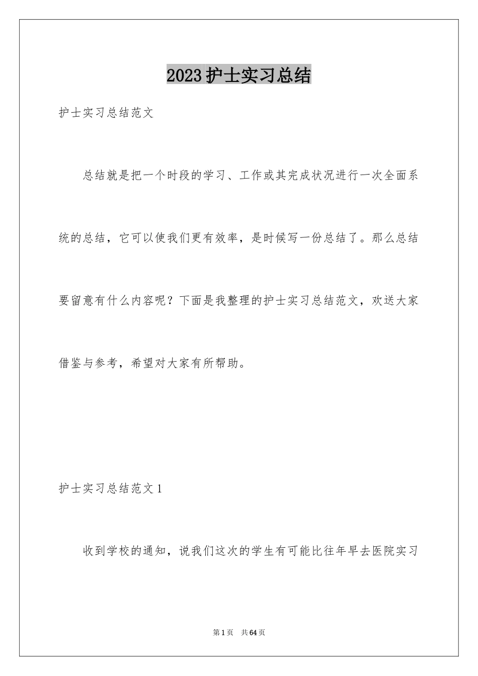 2023护士实习总结1范文.docx_第1页