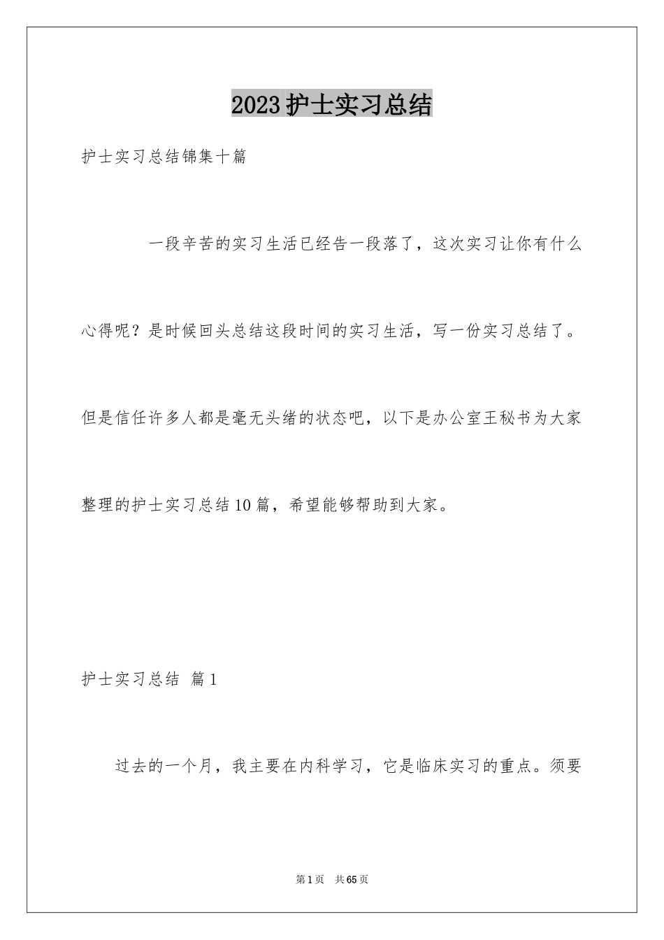 2023护士实习总结23范文.docx_第1页