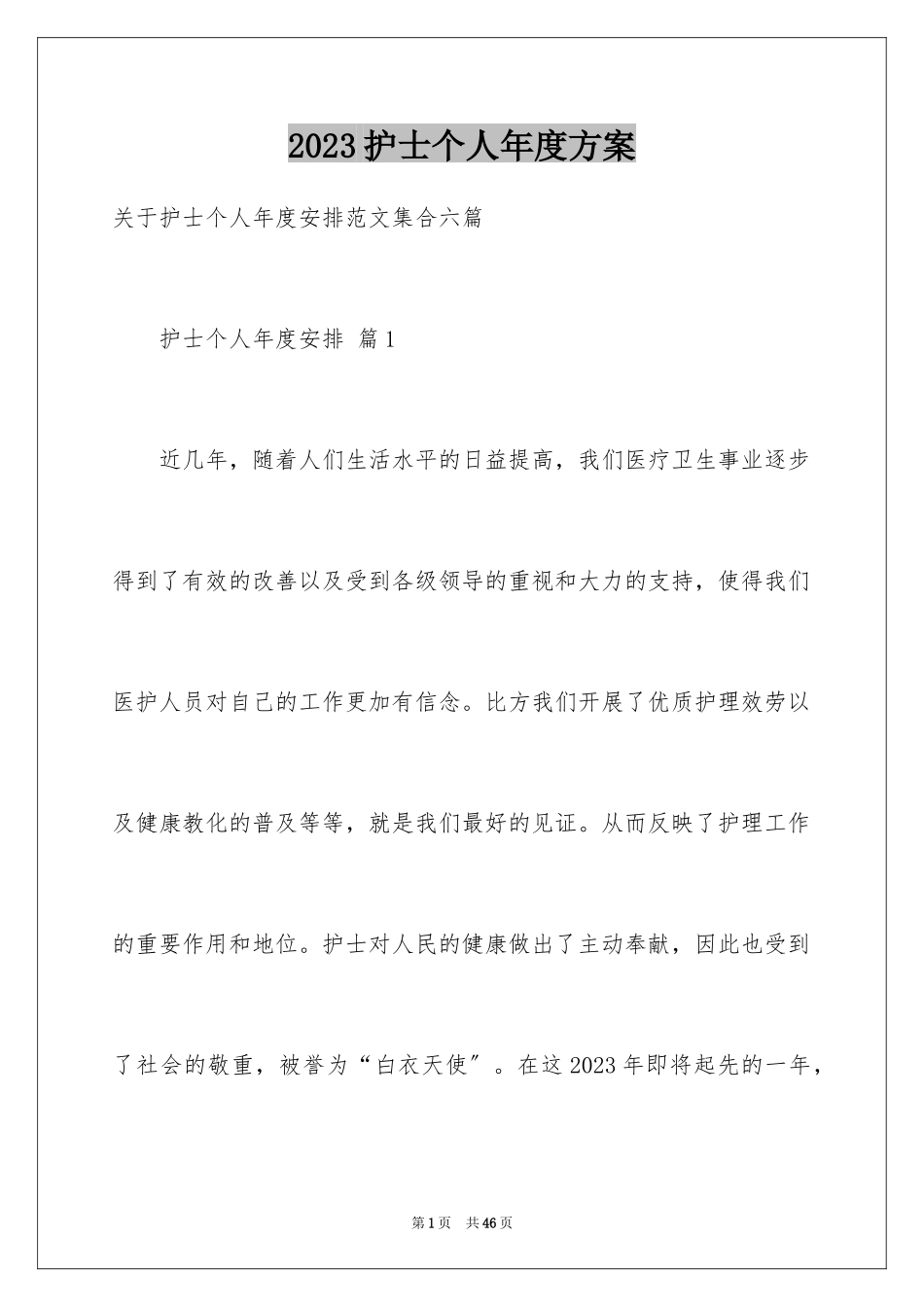 2023护士个人年度计划19范文.docx_第1页