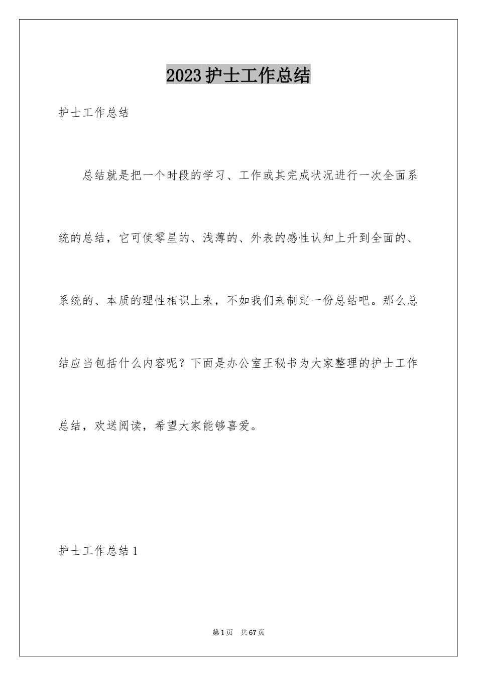 2023护士工作总结13范文.docx_第1页