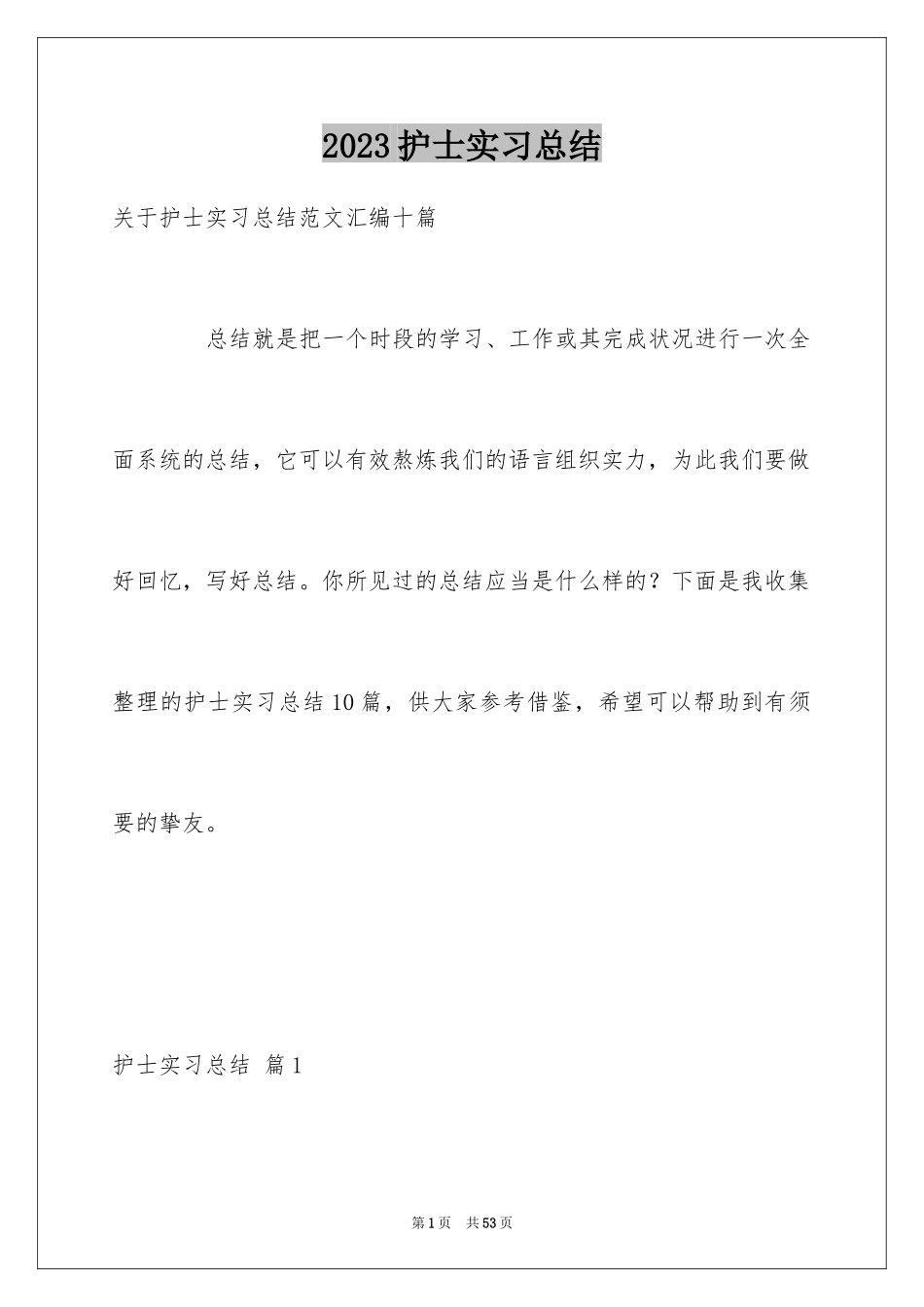 2023护士实习总结33范文.docx_第1页
