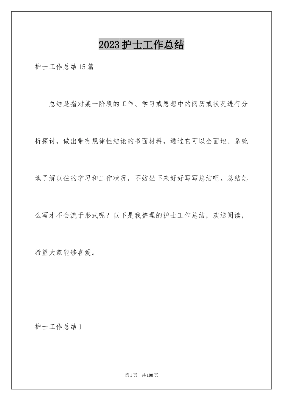 2023护士工作总结范文.docx_第1页