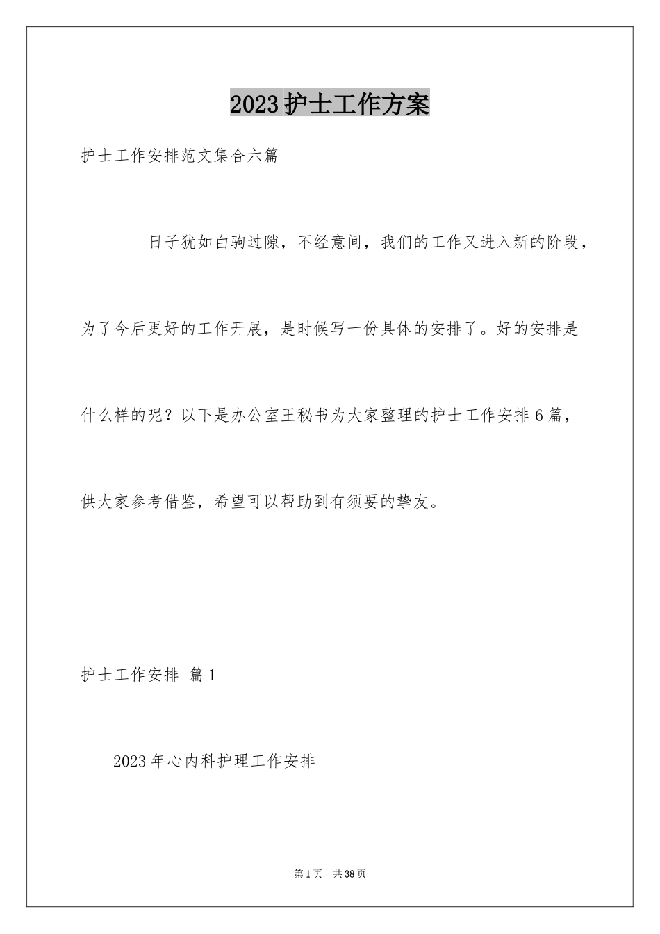 2023护士工作计划65范文.docx_第1页