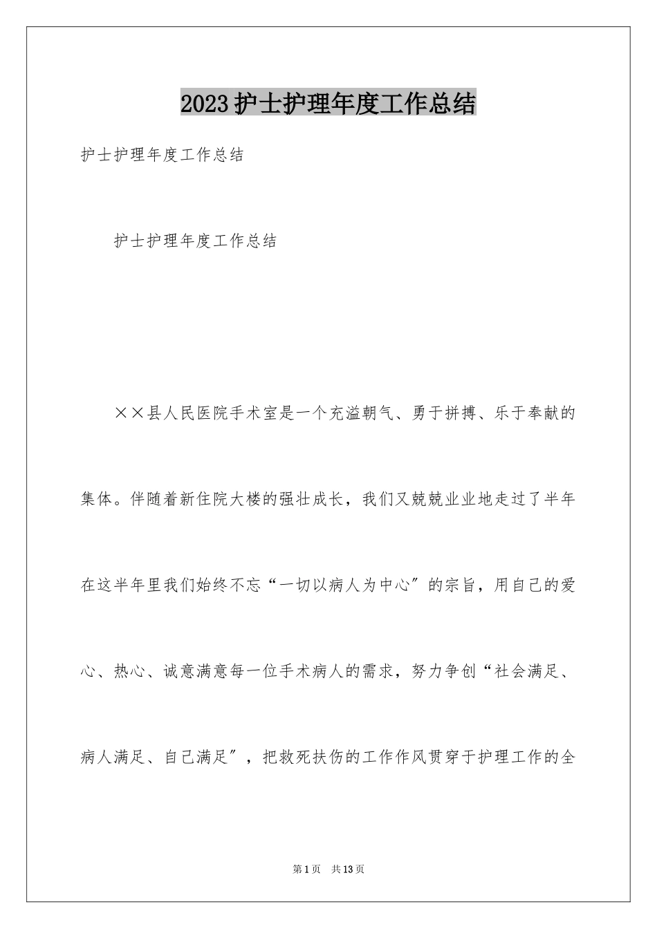 2023护士护理年度工作总结范文.docx_第1页
