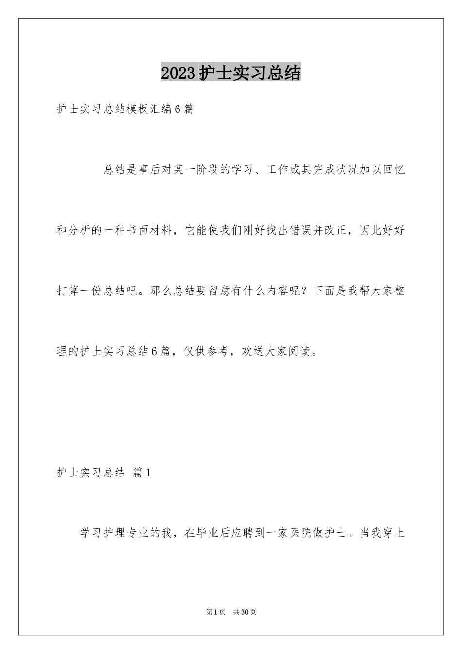 2023护士实习总结12范文.docx_第1页