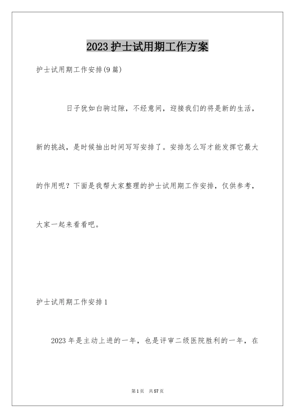 2023护士试用期工作计划2范文.docx_第1页