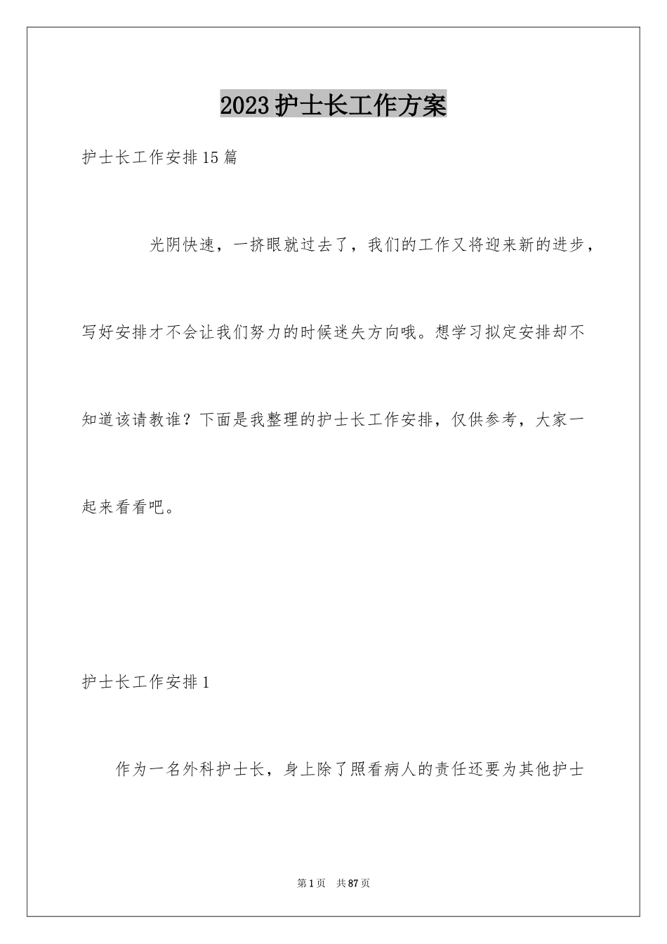 2023护士长工作计划28范文.docx_第1页