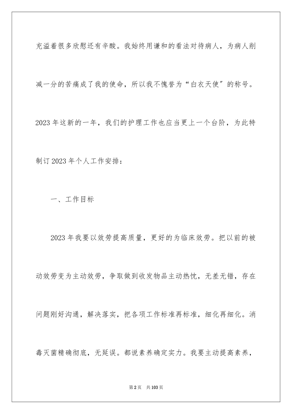 2023护理工作个人工作计划范文.docx_第2页