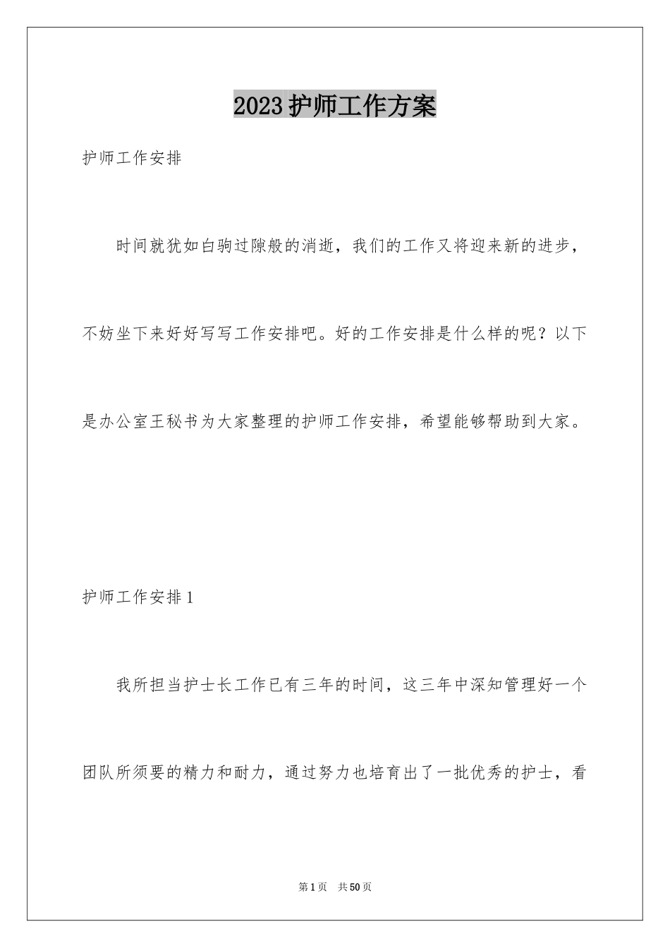 2023护师工作计划2范文.docx_第1页