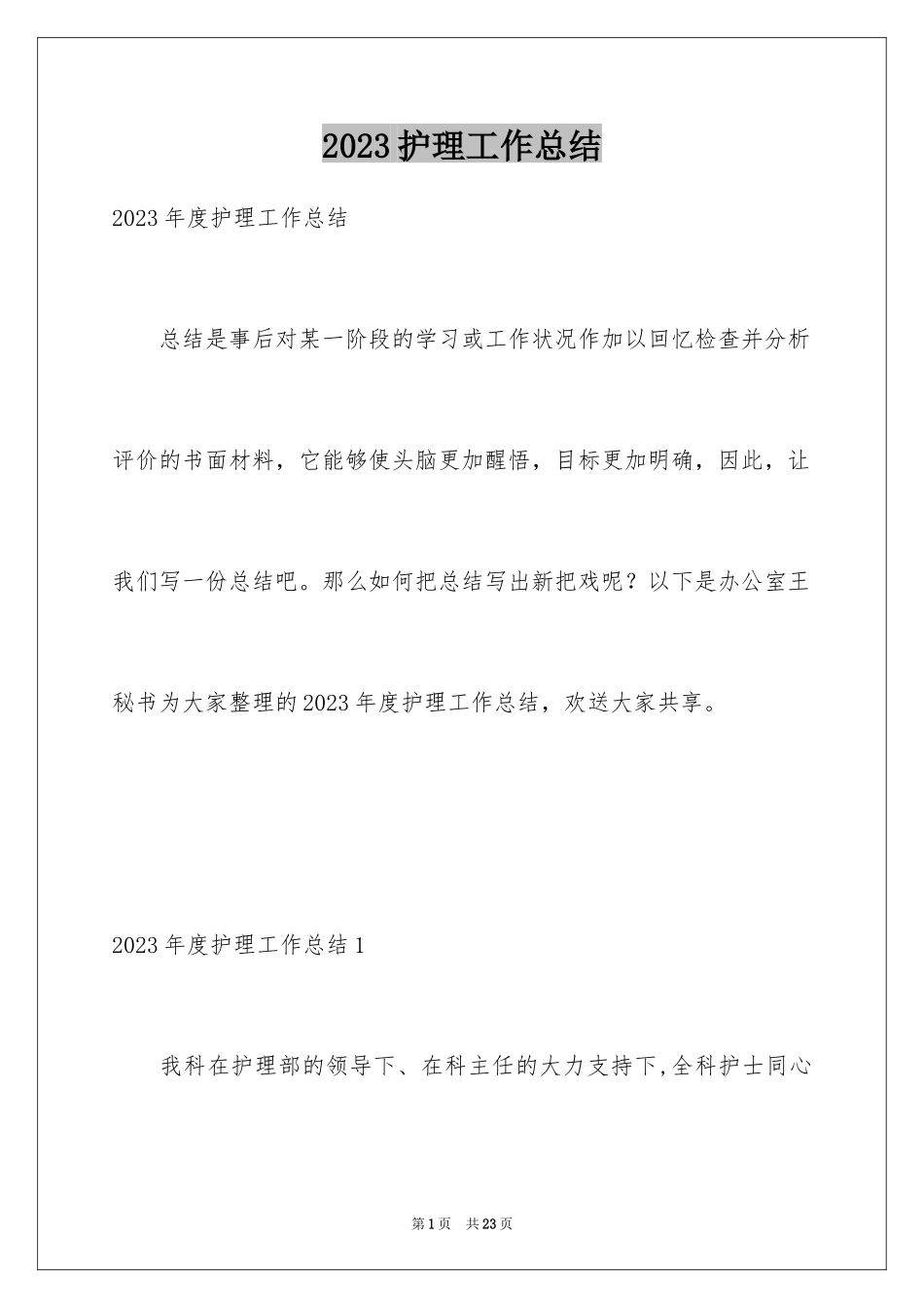 2023护理工作总结19范文.docx_第1页