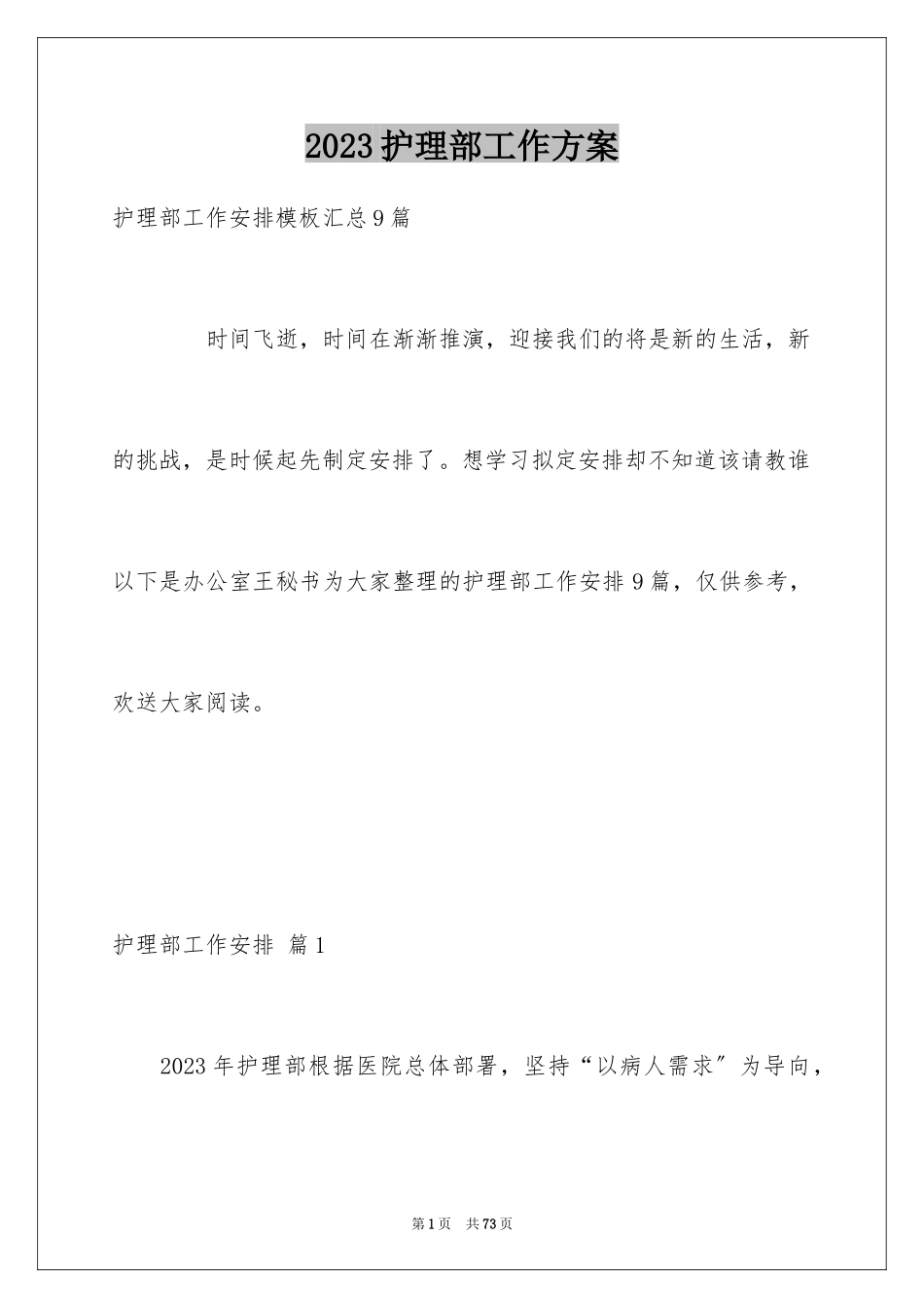 2023护理部工作计划5范文.docx_第1页