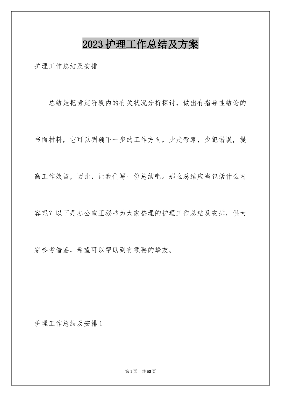 2023护理工作总结及计划范文.docx_第1页