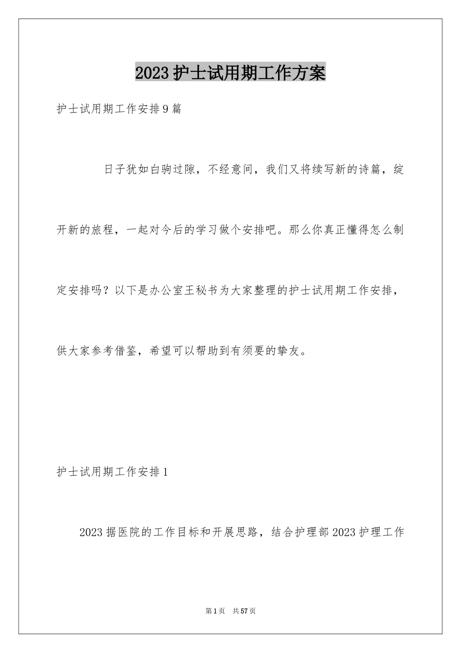 2023护士试用期工作计划3范文.docx_第1页