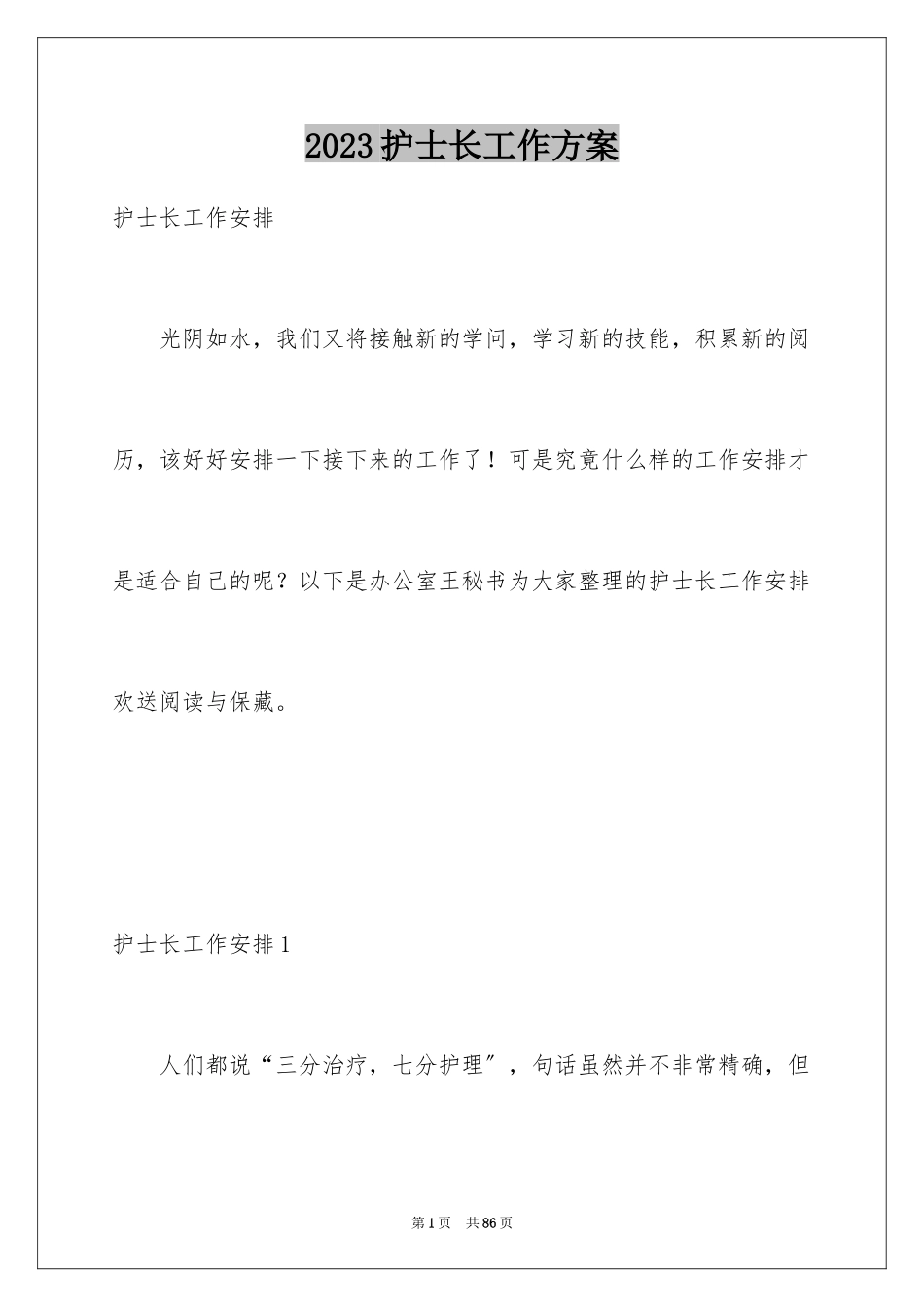 2023护士长工作计划25范文.docx_第1页