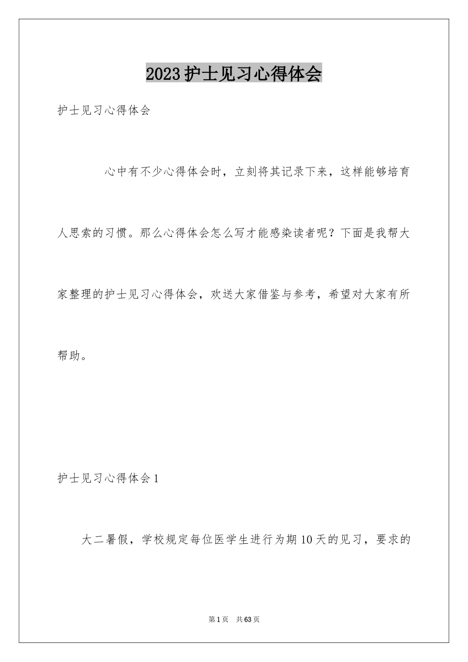 2023护士见习心得体会1范文.docx_第1页