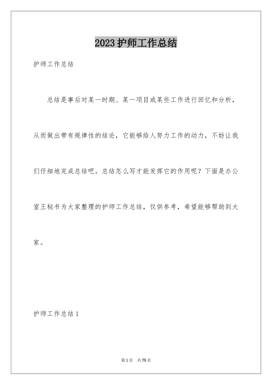 2023护师工作总结范文.docx_第1页