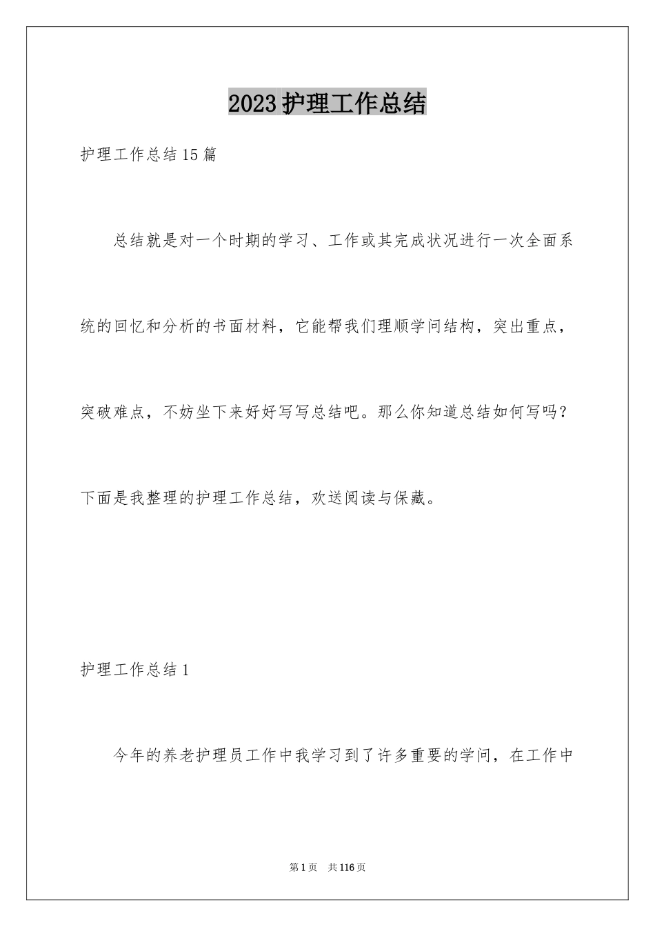 2023护理工作总结24范文.docx_第1页