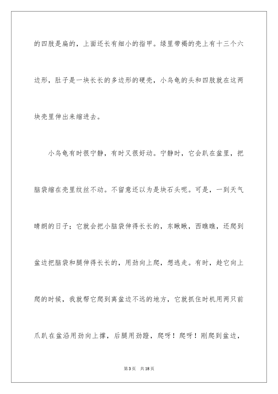 2023年可爱的乌龟作文.docx_第3页