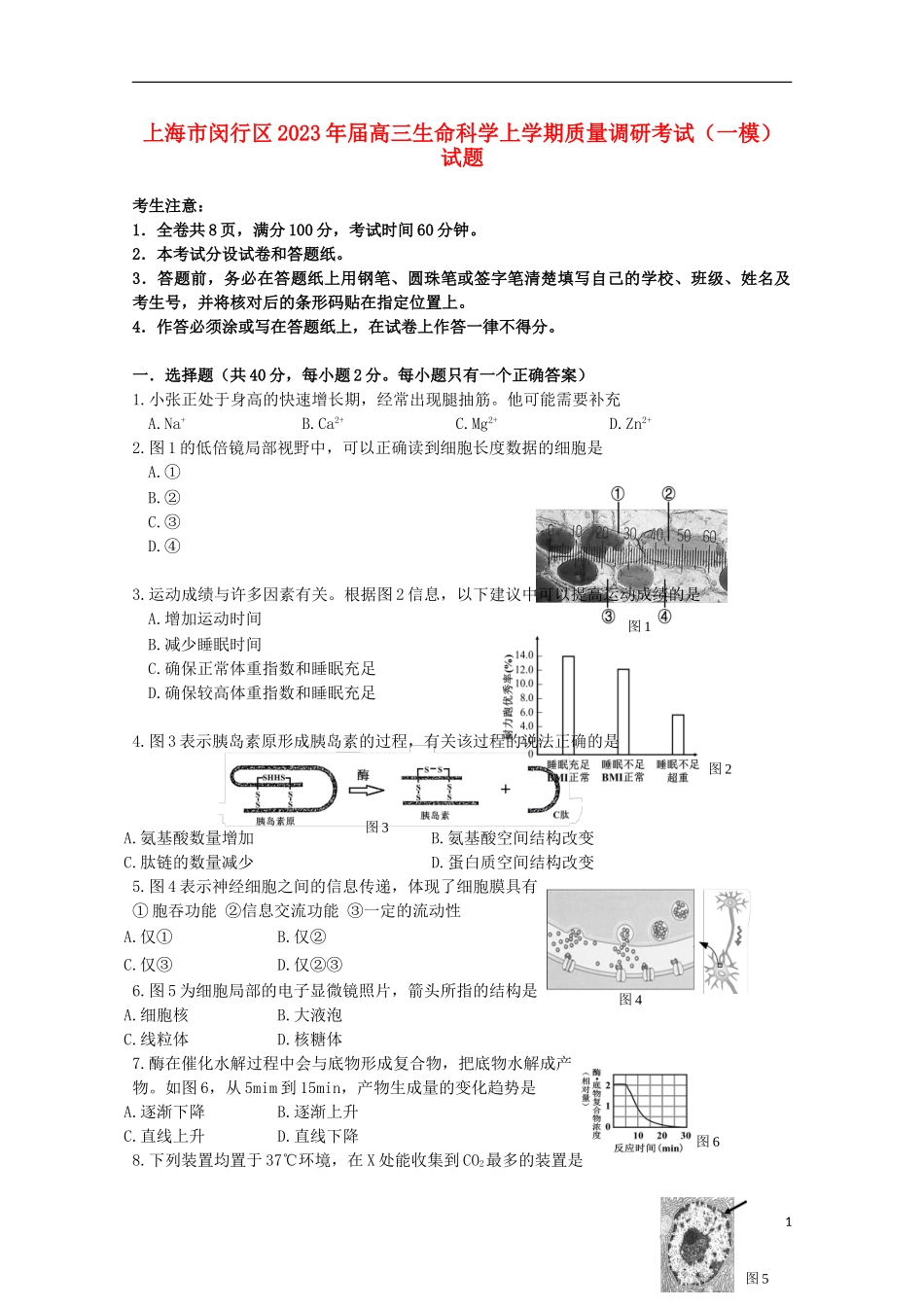 上海市闵行区2023学年高三生命科学上学期质量调研考试一模试题.doc_第1页