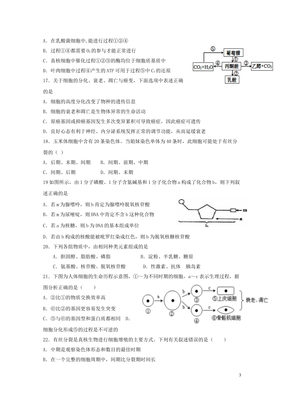 哈密市第十五中学2023学年高一生物4月质量检测试题.doc_第3页