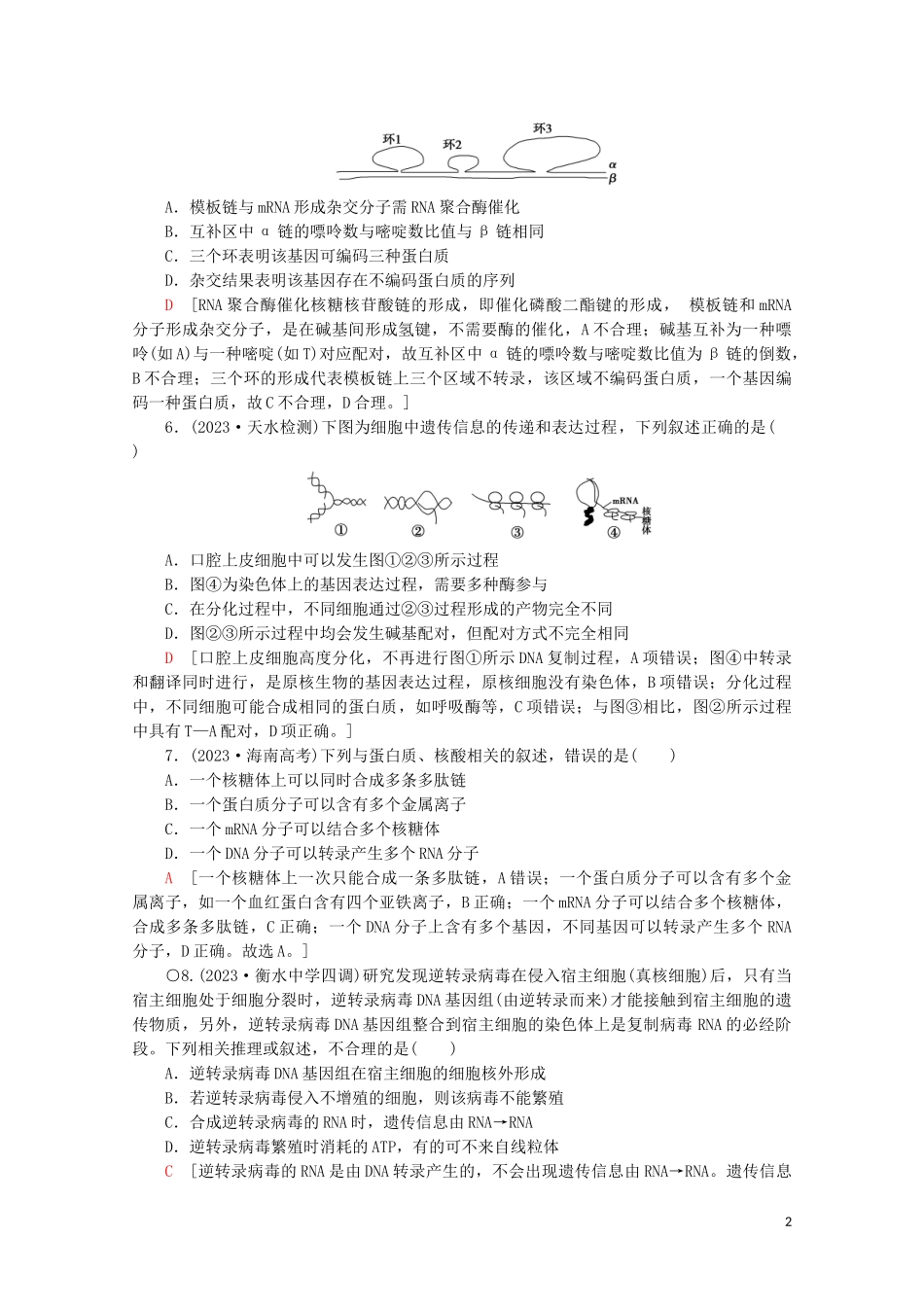 2023学年高考生物二轮复习专题限时集训6遗传的分子基础含解析.doc_第2页