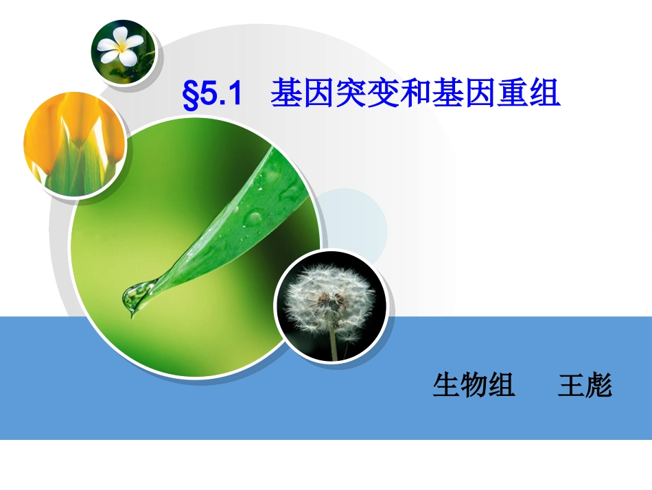 胸腺嘧啶或腺嘌呤D.ppt_第1页